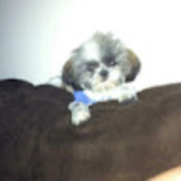 Meet your Posher, Stacy - Picture 1 of 1